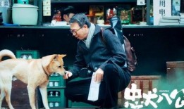 忠犬八公 在线观看,感人至深的忠诚传奇，在线观看见证永恒的友谊