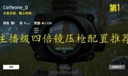 主播压枪爆料视频大全,揭秘游戏枪械操控技巧与实战解析